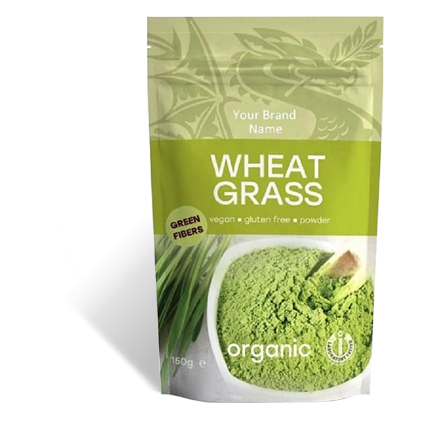 ��X������朴�